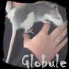 Globule